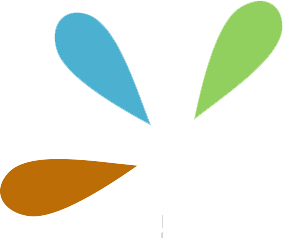 Brown curved top line